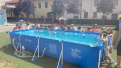 … giocato in piscina …